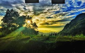 Ella Happy View Homestay